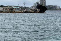 現地からの報告！