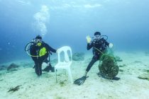 ハウスリーフ調査ダイビング！