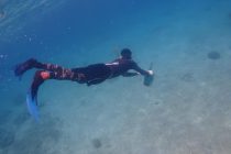 ハウスリーフ調査スキンダイビング🤿