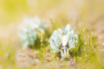 焦らずにゆっくり。