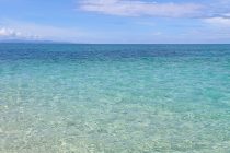 メニュー盛りだくさん♬