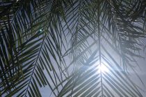 南国パワー✨✨