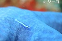 トライシクルでお送り🤭