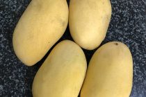 フィリピンといったら🥭