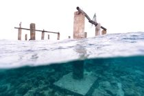 離島の水中の様子！