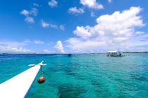 オランゴ島調査🏝