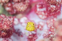 Sir ちゃうで〜。