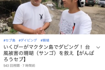 珊瑚植樹の動画⭐️