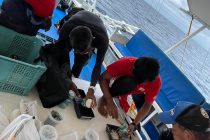 アクエリアススタッフも植樹★