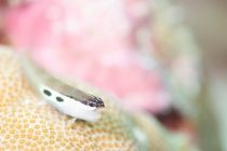 久々のハウスリーフ⭐️