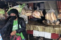 オランゴ島へ🏝