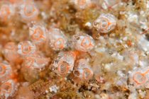 ビックリしたー👀💦