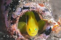 エンリッチSP講習でした！