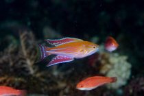 ポテンシャル高いなっ🤭