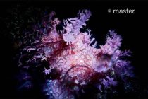 夏ですかっ😳✨