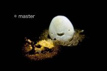 小さい子は可愛い〜ね〜💖