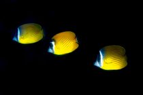 会えた嬉しさ🌙