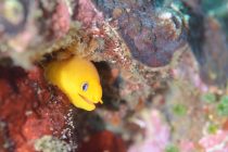 アニラオに到着🏝