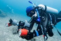 ハウスリーフ合宿でした✌️