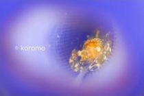 海から感化されるもの。