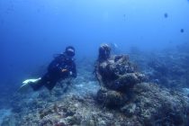 なるなるなるすあん🏝