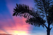 マクタン島でサンセットを見るならココ！