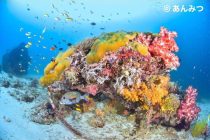 英雄に感謝する日！