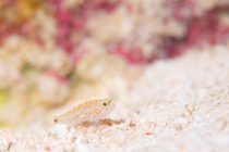 心を入れ替えて🤭💖