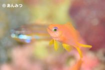 ついに始まりました！