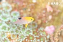 メルヘン合宿スタートです🌸