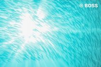 モアルボアル２日目⭐️