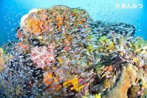 たりまりませんね❤️