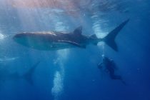 オスロブツアーでした🎶