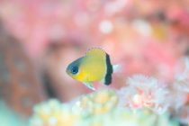 食べる楽しみが。。