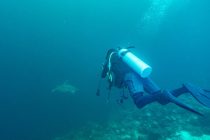 カメに会いに🎶