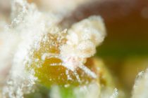 久々の調査ダイブ！