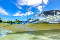 アクエリアスロゴ🦈