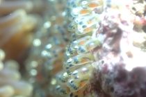 キラキラな世界を✨✨