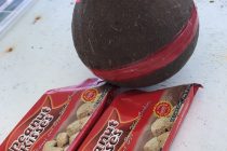 ボホール土産🎶