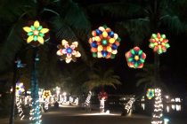 ホテルディナー⭐️