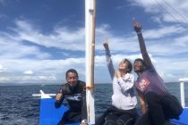 クリスマスプレゼント🐢🎁