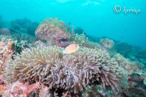 ちょっと荒れ気味🍃