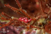 生態系が変わってきてるな〜🤔