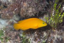 目付き悪いけど可愛い💛