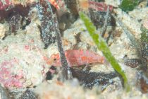 激アツですな🎶