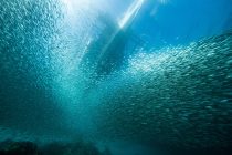 寒波ですかー🥶