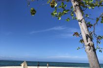 南国満喫コース🎶