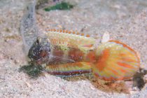 風よおさまって〜🌬