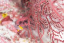 カメラを持って📸🌸