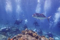 潜って食べてショッピング🎶